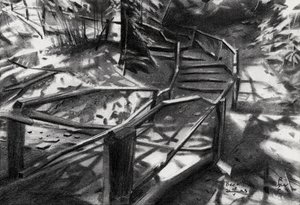 Escadas em espiral na floresta de Corné Akkers