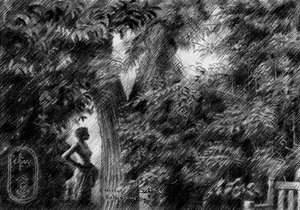 Mulher à luz do jardim