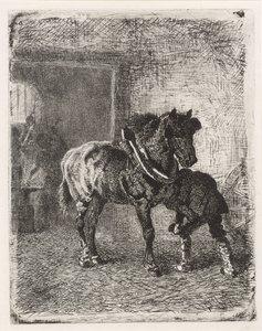 Cavalo recebe ferraduras em uma forja de Cornelis Albertus Johannes Schermer