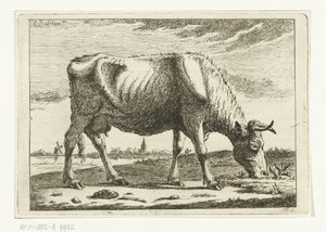 Paisagem com vaca pastando Vacas (título da série)