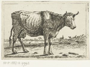 Paisagem com vaca