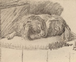 Cão Deitado, 1777. de Cornelis Brouwer