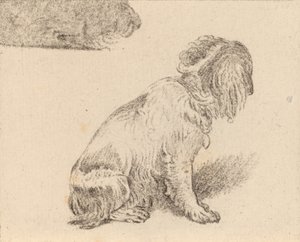 Floresta. de Cornelis Brouwer