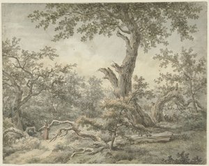 Paisagem florestal de Cornelis Buys