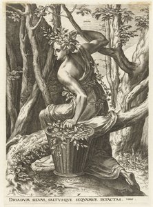 Dryas (título sobre o objecto)
Deusas e ninfas (título da série) de Cornelis Cort