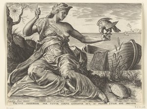 Os sentidos (Tacto)
Os cinco sentidos (título da série) de Cornelis Cort