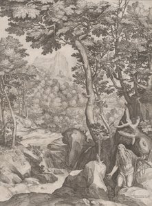 Floresta. de Cornelis Cort