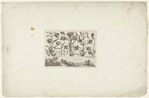 Fila de flores acima da paisagem
Flores e paisagens (título da série) de Cornelis Danckerts (I)