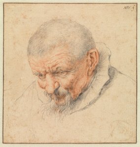 A cabeça de um homem idoso de Cornelis Dusart