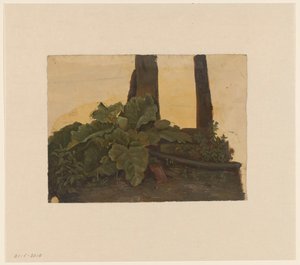 Plantas na base de um tronco de árvore de Cornelis Johannes de Vogel