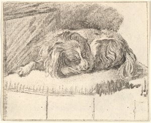 Cão adormecido, 1777.