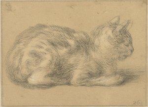 Gato sentado, à direita de Cornelis Saftleven (possibly)
