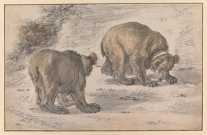 Um urso em várias poses de Cornelis Saftleven