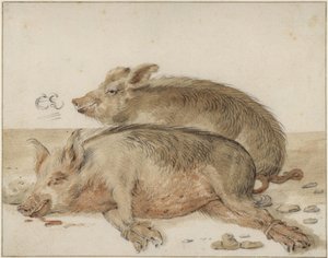 Dois porcos de Cornelis Saftleven