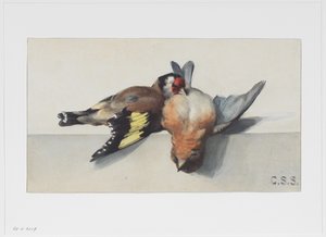 Natureza morta com dois pássaros mortos de Cornelis Samuel Stortenbeker