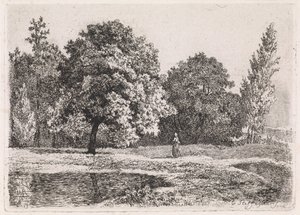 Paisagem com árvores, lago e uma mulher Quinta suíte (título da série)
