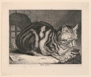 O grande gato de Cornelis Visscher