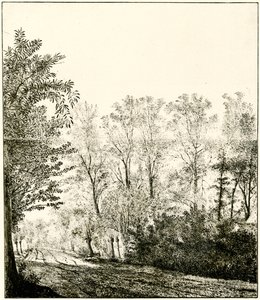 Trilha através de uma floresta de Hendrick Cornelisz. Vroom