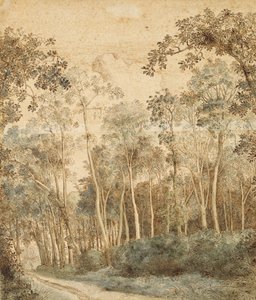 Paisagem arborizada (caneta e tinta marrom e wc no papel) de Hendrick Cornelisz. Vroom