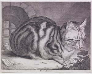 O grande gato
