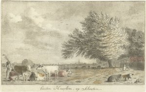Vacas num prado
fora de Haarlem, op Schooten (título sobre o objecto)