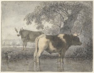 Duas vacas debaixo de uma árvore perto da água