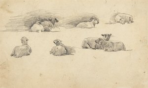 Estudo das Ovelhas de Cornelius Varley