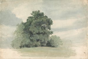 Estudo das árvores na orla de um campo de Cornelius Varley