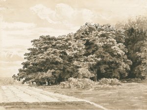 Wrottesley Hall - The Shrubbery: desenho em sépia, 1820 de Cornelius Varley