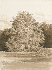 Wrottesley Hall - The Shrubbery: desenho em sépia, 1820 de Cornelius Varley