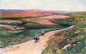 Cana da estrada para Nazaré