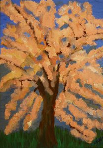 Flor de cerejeira, primavera londres de Cosima Duggal