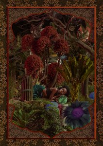 Jardim Fantástico da Mulher Adormecida