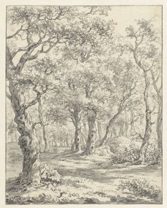 Paisagem florestal de Couwenhoven