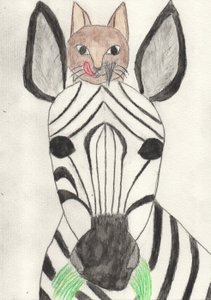 O meu amigo zebra