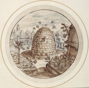Colmeia, início do século XVII (caneta e tinta castanha com lavagens castanhas e cinzentas)