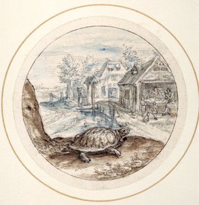 Tartaruga, início do século XVII (caneta e tinta castanha com lavagens castanhas e azuis)