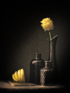 Rosa e Limão Elegantes de Cristiano Giani