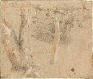 Esboços de árvores de Cristofano Allori