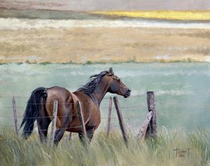 Sonhos de Liberdade, 2010 (óleo sobre tela)