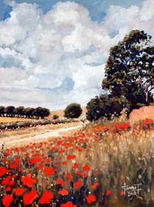 Papoilas Selvagens, Hertfordshire, 2010 (óleo sobre papel)