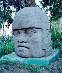 Civilização pré-colombiana: a colossal cabeça de Olmeque. Século 10-7 AC. México. Parque Musee de La Vente.