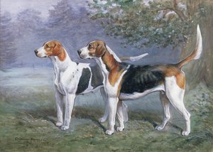 Uma cadela e cão Hound em uma paisagem