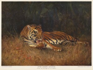Após o jantar, Satisfeito (cor litho)