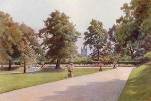 Olhando em direcção a Westminster, Marlborough House Garden (cor litho) de Cyril Ward