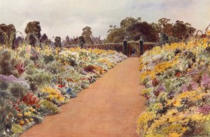 The Double Borders no East Garden, Sandringham (lito colorido) de Cyril Ward