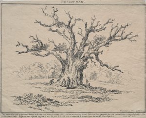 Fairlop Oak, 1811. de D. H. Redman