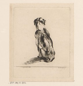 Cão sentado visto de costas de D. Merrem
