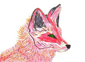 Raposa (ponta de feltro sobre papel)
