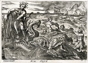 Aqua: alegoria da água de Daman